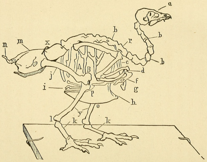 Figure 14