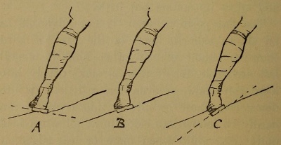 Figure 22