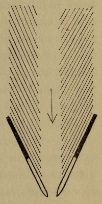 Figure 29