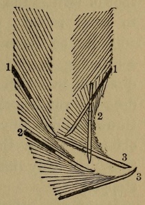 Figure 32