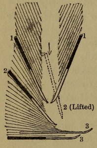 Figure 33