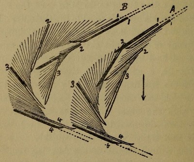 Figure 35