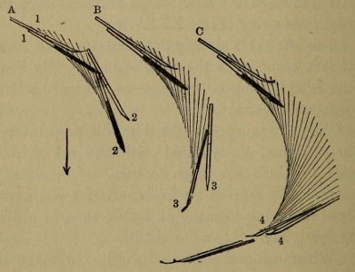 Figure 39