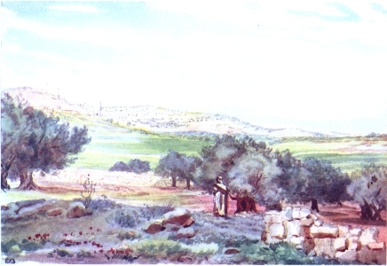 BETHLEHEM FROM THE SHEEPFOLD, FIELD OF BOAZ  The town is shown on a hill. The Convent of the Nativity stands to the extreme left. Field of Boaz with green wheat in middle distance, enclosure of sheepfold in foreground.