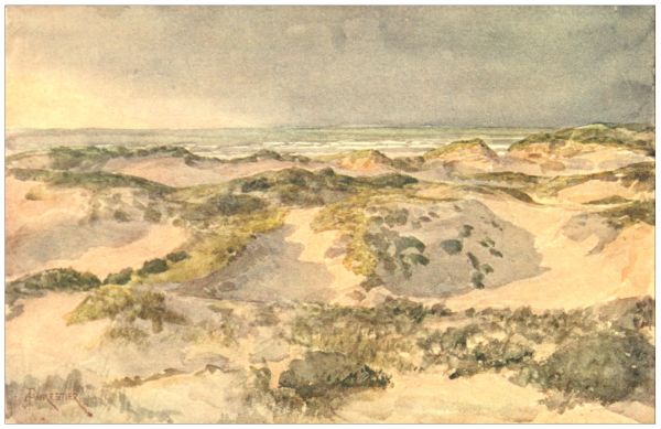 THE DUNES— A Stormy Evening.