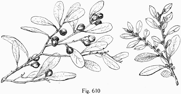 Fig. 610