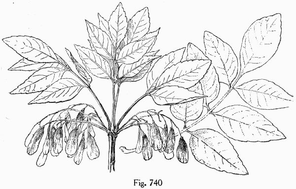 Fig. 740