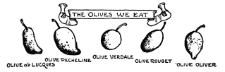 THE OLIVES WE EAT OLIVE de LUCQUES OLIVE PECHELINE OLIVE VERDALE OLIVE ROUGET OLIVE OLIVER