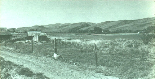 Fig. 4.—View northwest across the John Day River valley toward Picture Gorge.