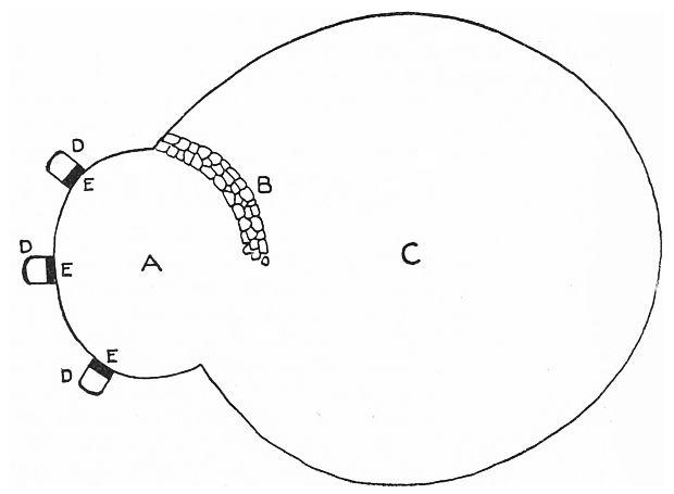 Fig. 27. Ground plan of chultun.