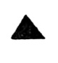 black triangle