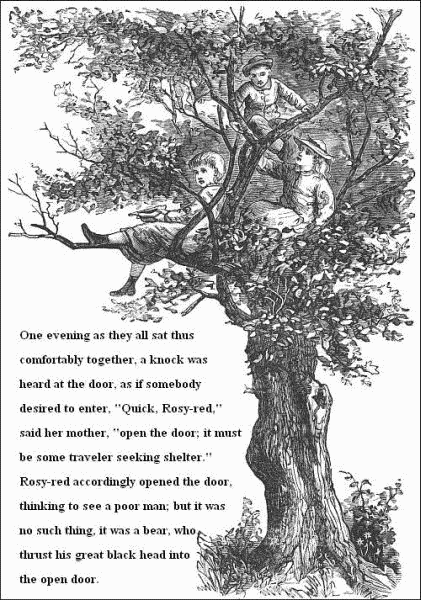 One evening as they all sat thus comfortably together, a knock was heard at the door, as if somebody desired to enter, 'Quick, Rosy-red,' said her mother, 'open the door; it must be some traveler seeking shelter.' Rosy-red accordingly opened the door, thinking to see a poor man; but it was no such thing, it was a bear, who thrust his great black head into the open door.