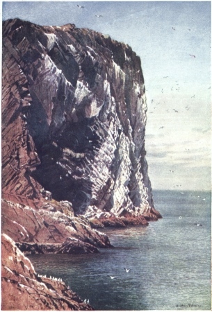 THE BASS ROCK, FIRTH OF FORTH, OFF THE COAST OF HADDINGTONSHIRE