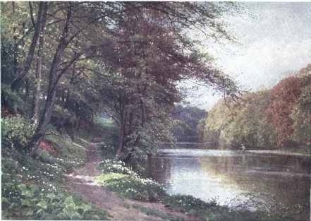 ON THE RIVER AYR, AYRSHIRE