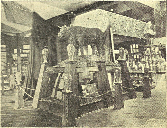 THE ALMOND COW, LIFE SIZE, CALIFORNIA EXHIBIT, SEATTLE, 1909