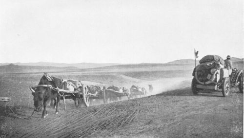 Begegnung des Automobils mit einer Ochsenkarawane an der Grenze der Mongolei.