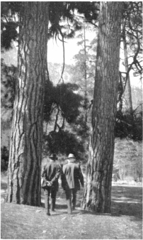 Photo by F. P. Clatworthy  John Muir and John Burroughs in the Yosemite Valley