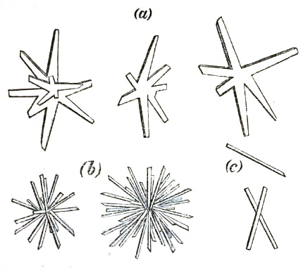 Crystals of pure tyrosine