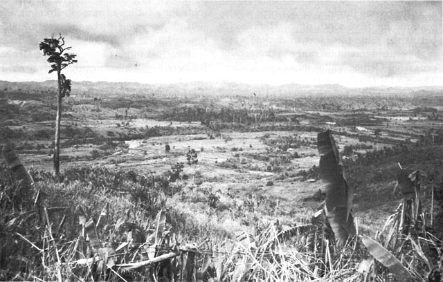 VIEW FROM THE RIDGES LOOKING NORTH UP THE LIMON VALLEY