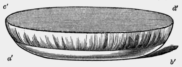 covered bowl