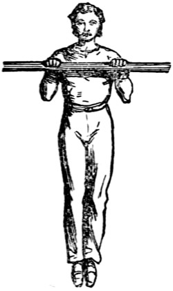 horizontal bar