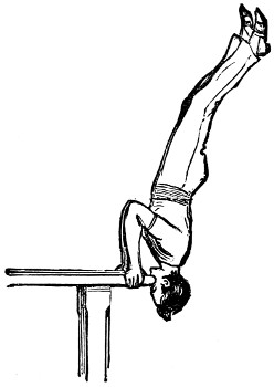 parallel bars