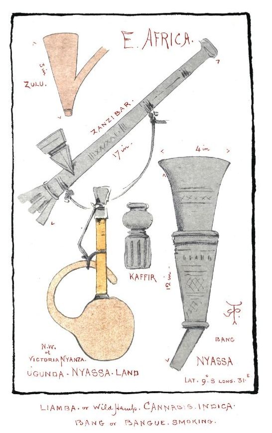 Page 41: E. AFRICA. ZULU. ZANZIBAR. KAFFIR N.W. of VICTORIA NYANZA. UGUNDA. NYASSA-LAND BANG NYASSA LIAMBA or Wild Hemp. CANNABIS. INDICA. BAND or BANGUE. SMOKING.