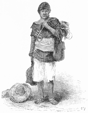 MEXICAN MULETEER.