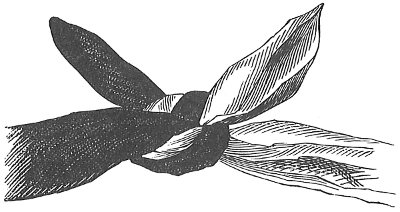 Fig. 42