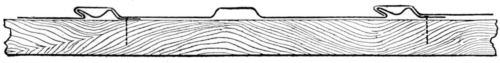 section through shingles