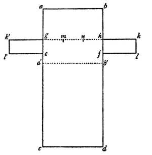 Illustration: Diagram of the Sleeved Chiton with Overfold