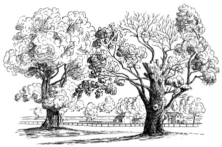 BOSCOBEL OAKS, 1804.  Page 27.  