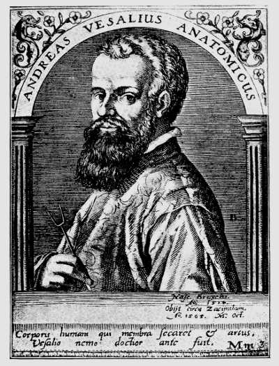 Andreas Vesalius.