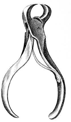 Cutting forceps (Fauchard).