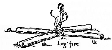 Log fire