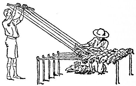 a giant wood loom