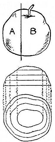 apple contour map