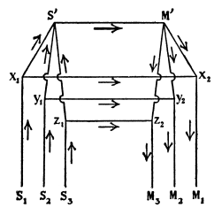 Fig. 7.—Diagram of Nervous Architecture: Reflex Arches connected by a Low Nerve Center.  (From Psychological Review, 15, 1908.)