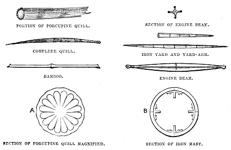 Image unavailable: PORTION OF PORCUPINE QUILL. COMPLETE QUILL. BAMBOO. SECTION OF PORCUPINE QUILL MAGNIFIED. SECTION OF ENGINE BEAM. IRON YARD AND YARD-ARM. ENGINE BEAM. SECTION OF IRON MAST.