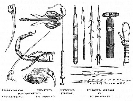 Image unavailable: SERPENT-FANG. BEE-STING. SCORPION-STING. NETTLE-STING. SPIDER-FANG. INJECTING SYRINGE. POISONED ARROWS AND POISON-FLASK.