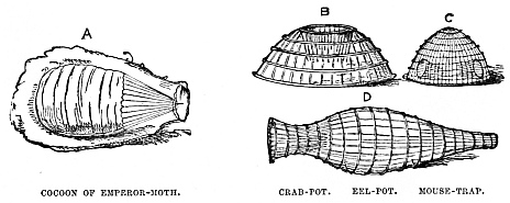 Image unavailable: COCOON OF EMPEROR-MOTH. CRAB-POT. EEL-POT. MOUSE-TRAP.