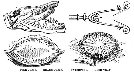 Image unavailable: PIKE-JAWS. SHARK-JAWS. CATCHPOLL. DEER-TRAP.