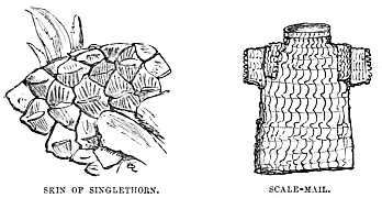 Image unavailable: SKIN OF SINGLETHORN. SCALE-MAIL.