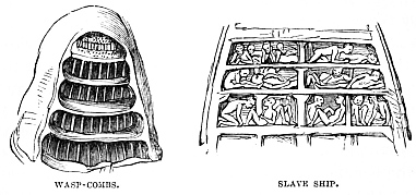 Image unavailable: WASP-COMBS. SLAVE SHIP.