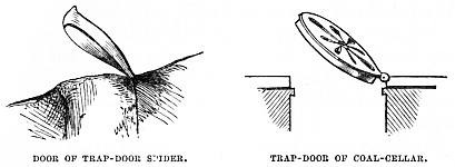 Image unavailable: DOOR OF TRAP-DOOR SPIDER. TRAP-DOOR OF COAL-CELLAR.