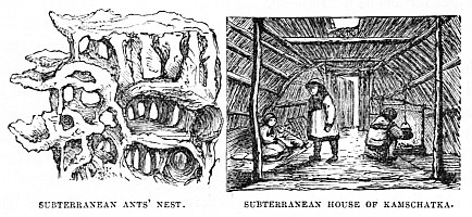 Image unavailable: SUBTERRANEAN ANTS’ NEST. SUBTERRANEAN HOUSE OF KAMSCHATKA.