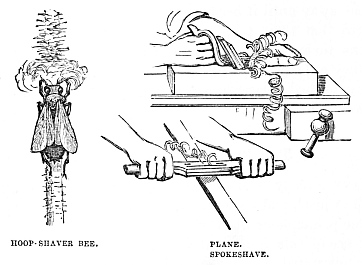 Image unavailable: HOOP-SHAVER BEE. PLANE. SPOKESHAVE.