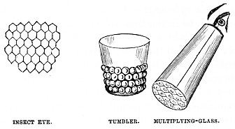 Image unavailable: INSECT EYE. TUMBLER. MULTIPLYING-GLASS.