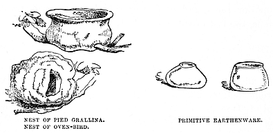 Image unavailable: NEST OF PIED GRALLINA.  NEST OF OVEN-BIRD.  PRIMITIVE EARTHENWARE.