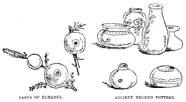 Image unavailable: NESTS OF EUMENES. ANCIENT NECKED POTTERY.